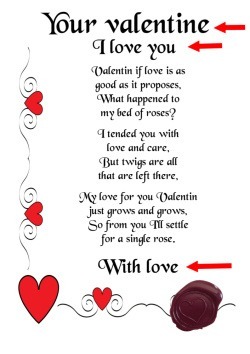 Romantic letter to customise